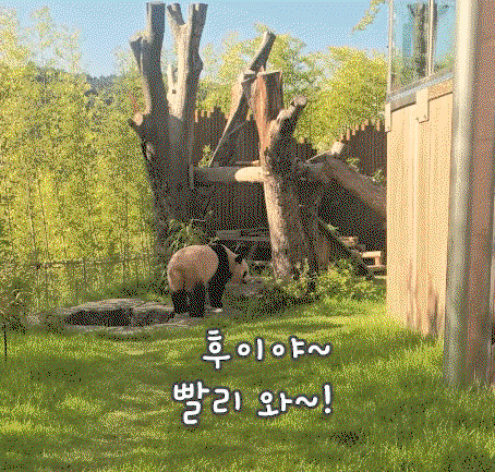 ddPxAn.gif