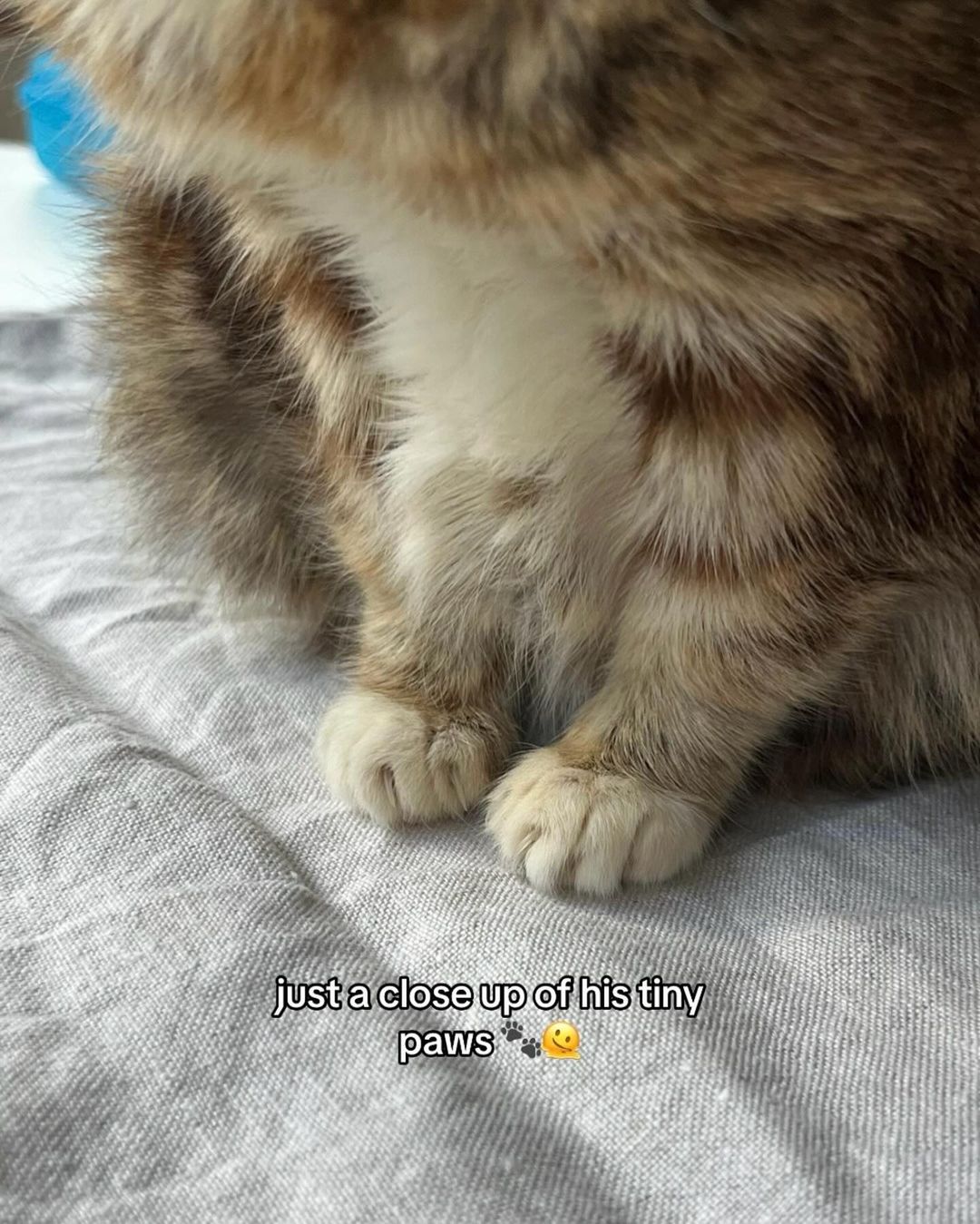 ddVQhf