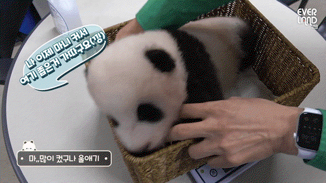 diEMoQ.gif