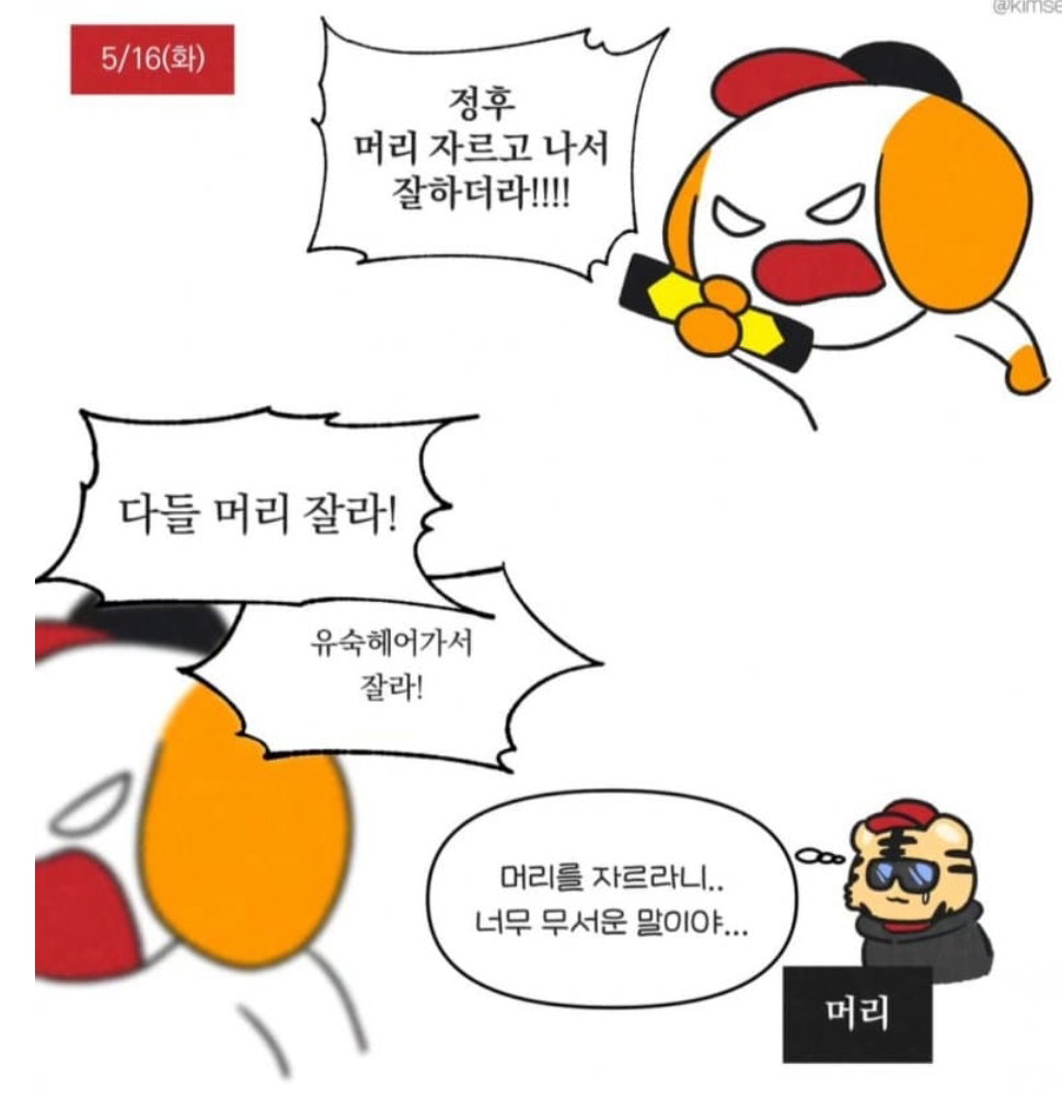 djAEEL