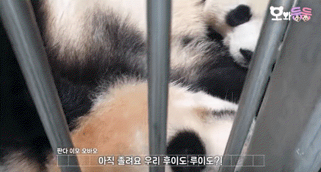 dkPZKu.gif