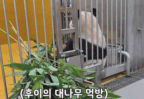 dnHwME.gif