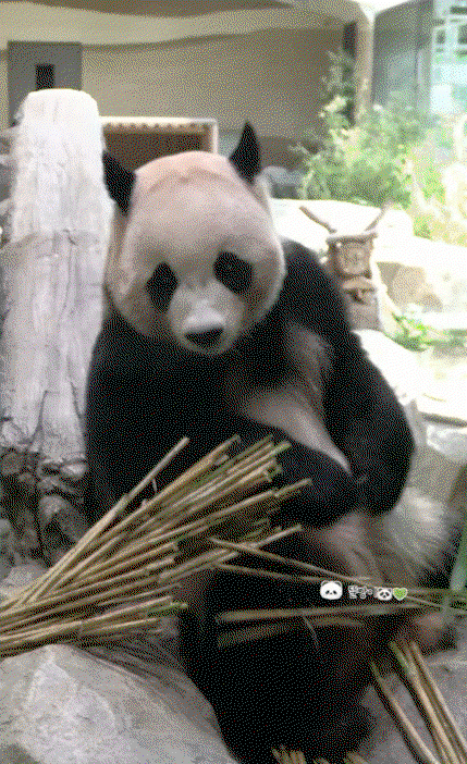 eBcUEt.gif