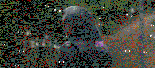 eBiHwu.gif