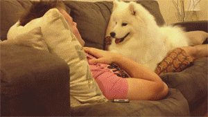 eBlBSV.gif