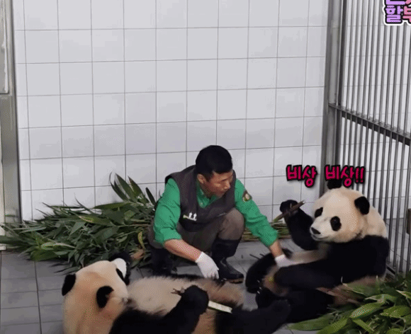 eDVliO.gif