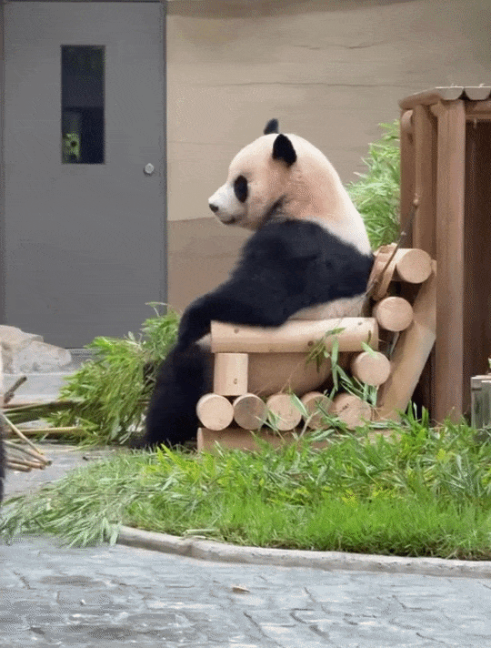 eDdQKr.gif