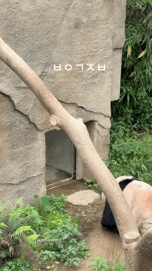 eDtpra.gif