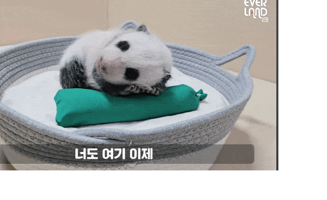 eEJlQm.gif