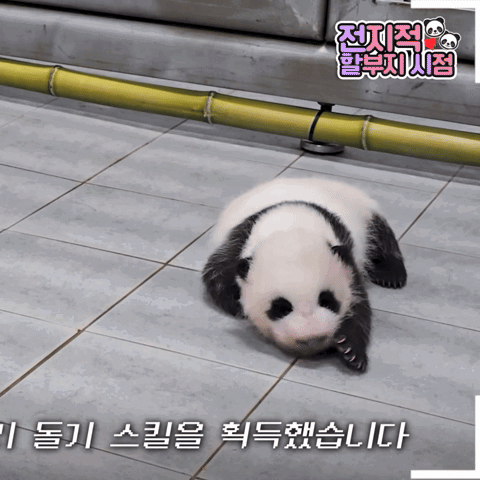 eEwDMz.gif