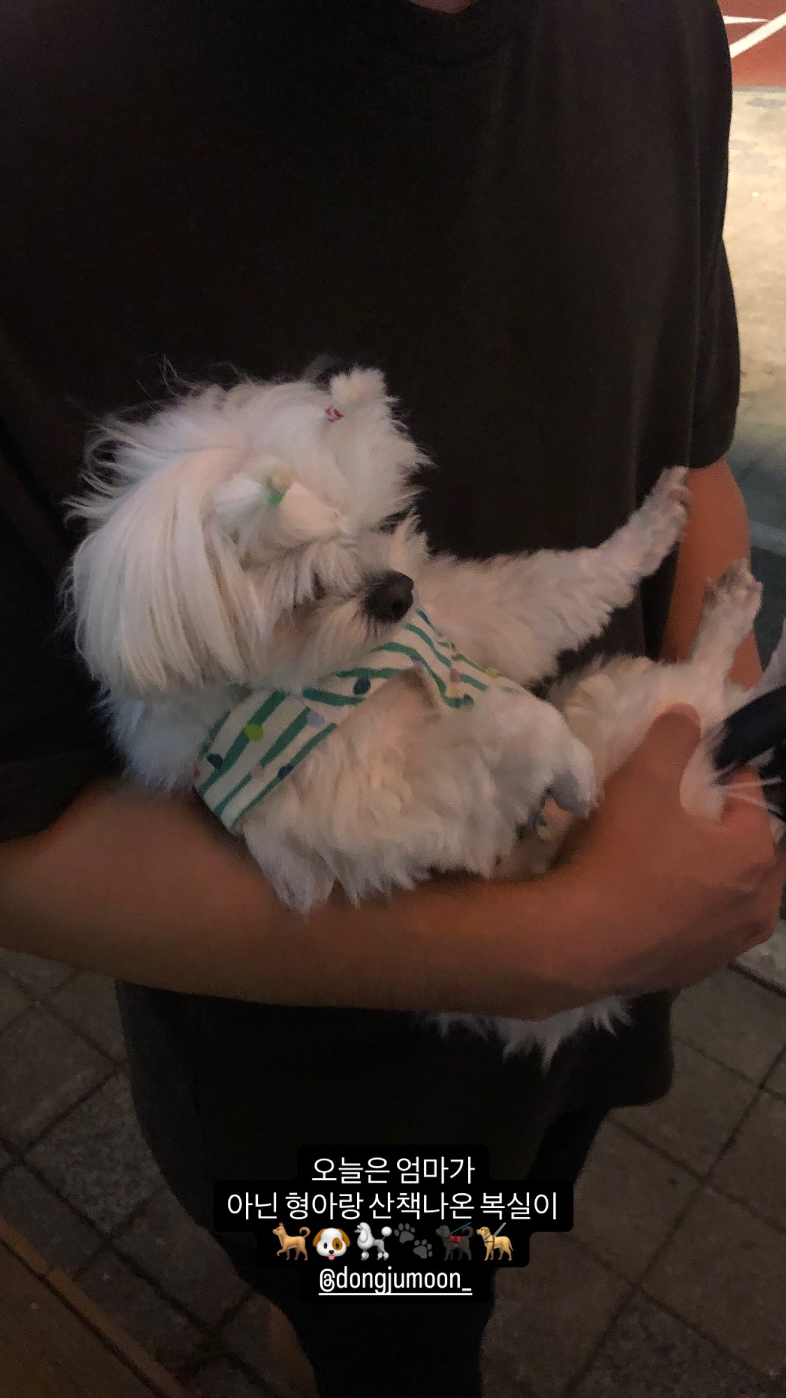 eFcfAj