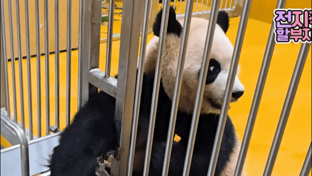 eFpotV.gif