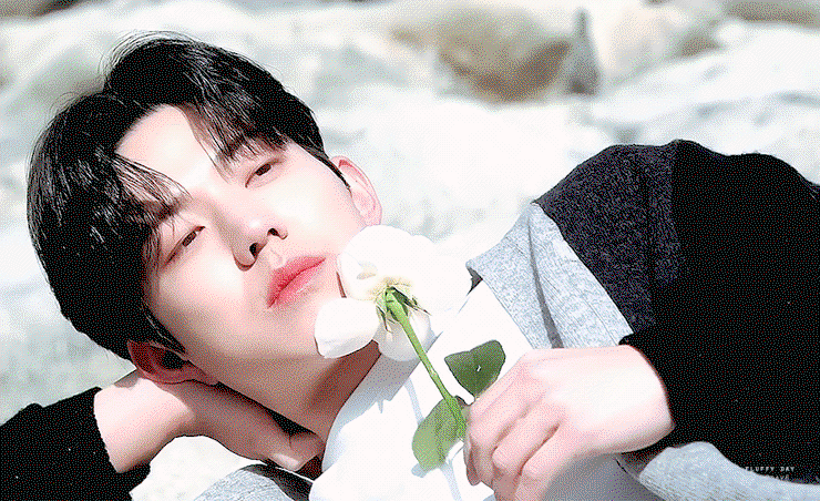 eGfrhd.gif