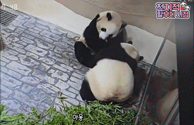 eHDReG.gif