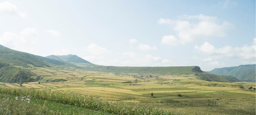 ePPiRa