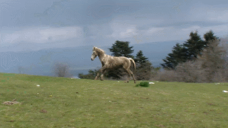 eRCWNK.gif