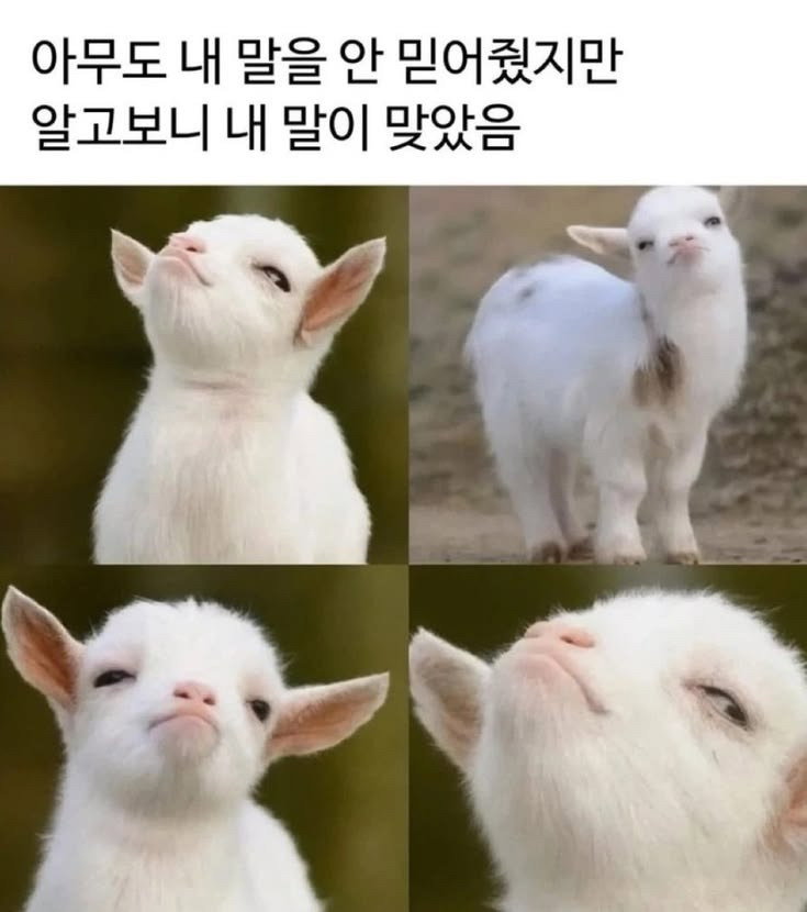 eRRKHn