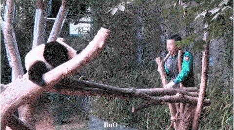 eTZkWl.gif