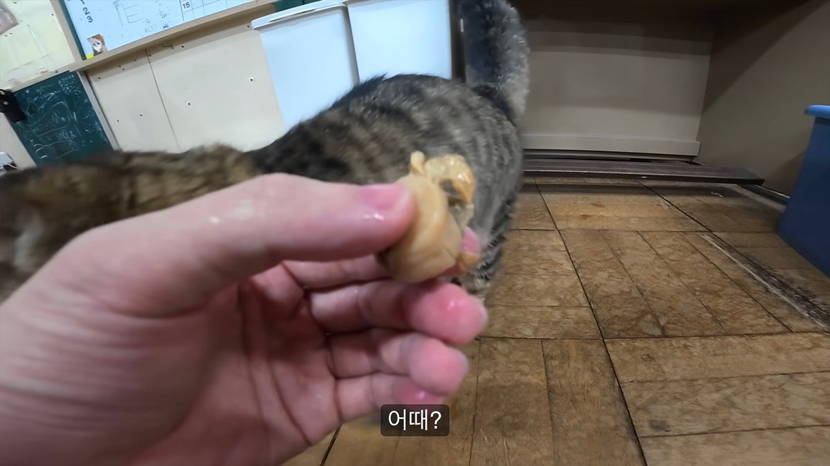 eUUyBj