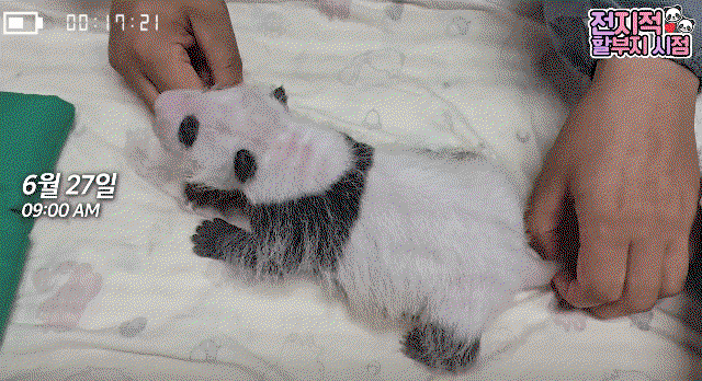 eWASCQ.gif