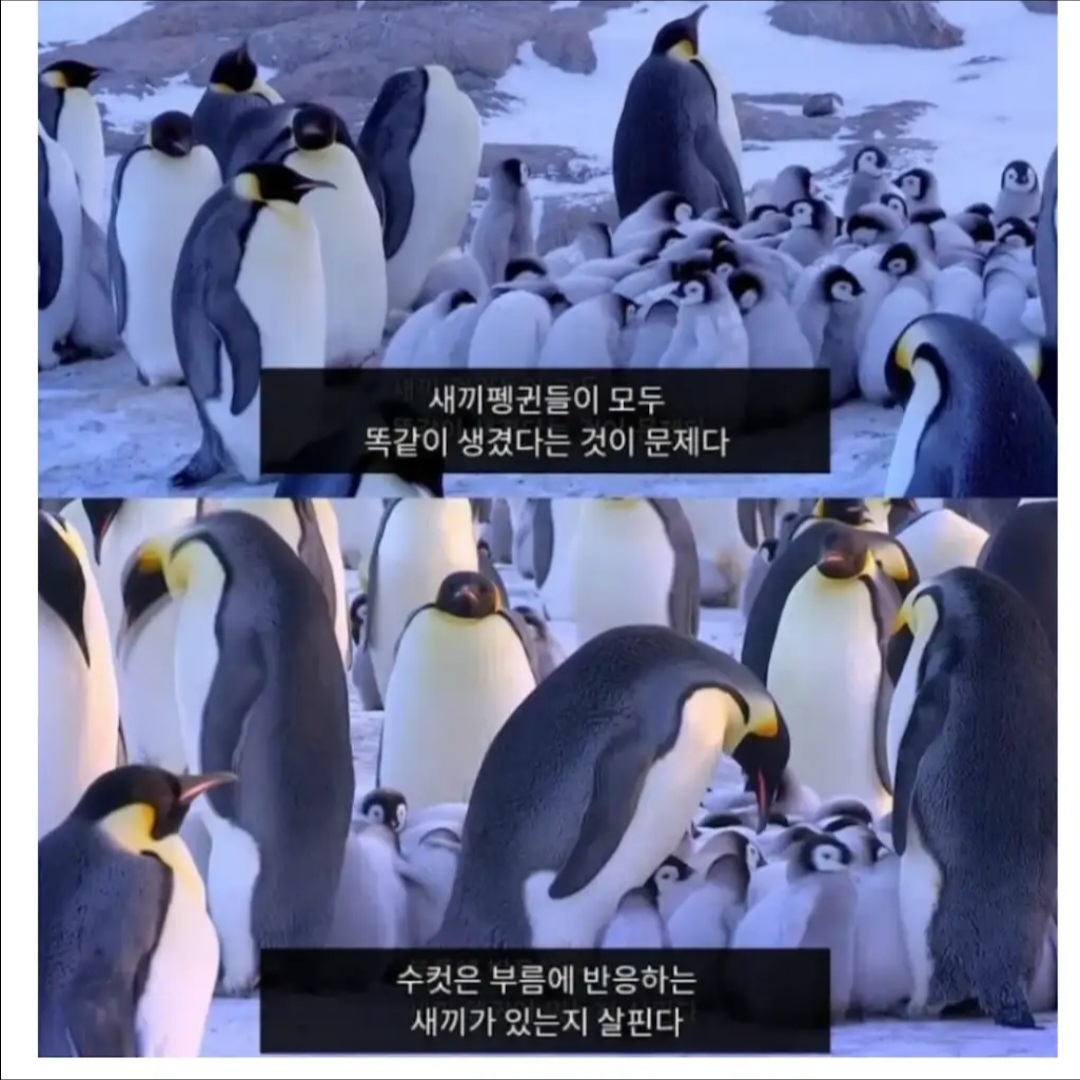 eXgrBJ