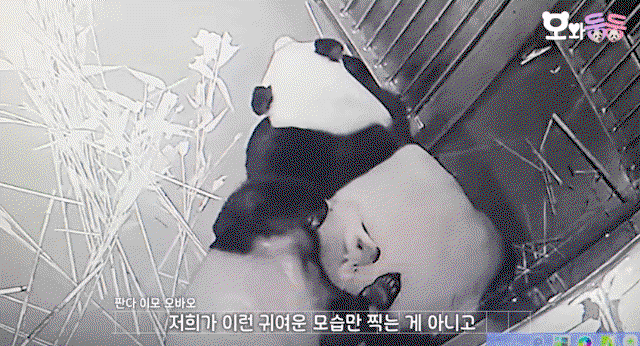 eXwxZe.gif
