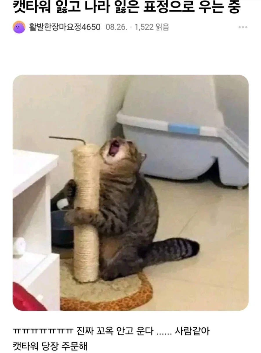 eZSkEZ