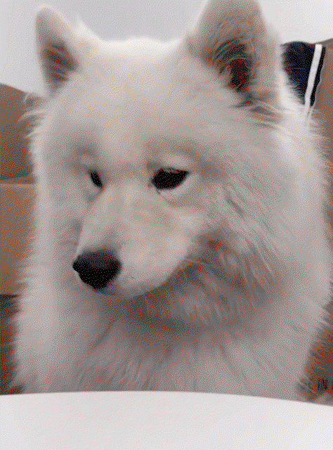 ebfGUV.gif