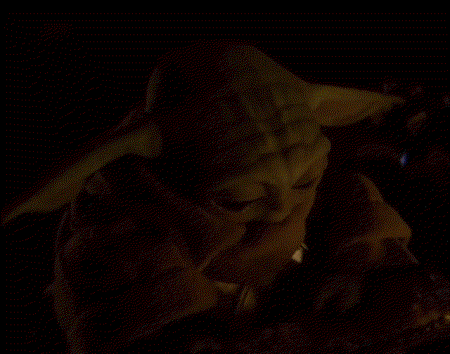 ecusGH.gif