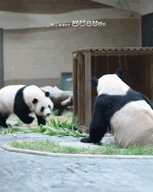 edXBed.gif