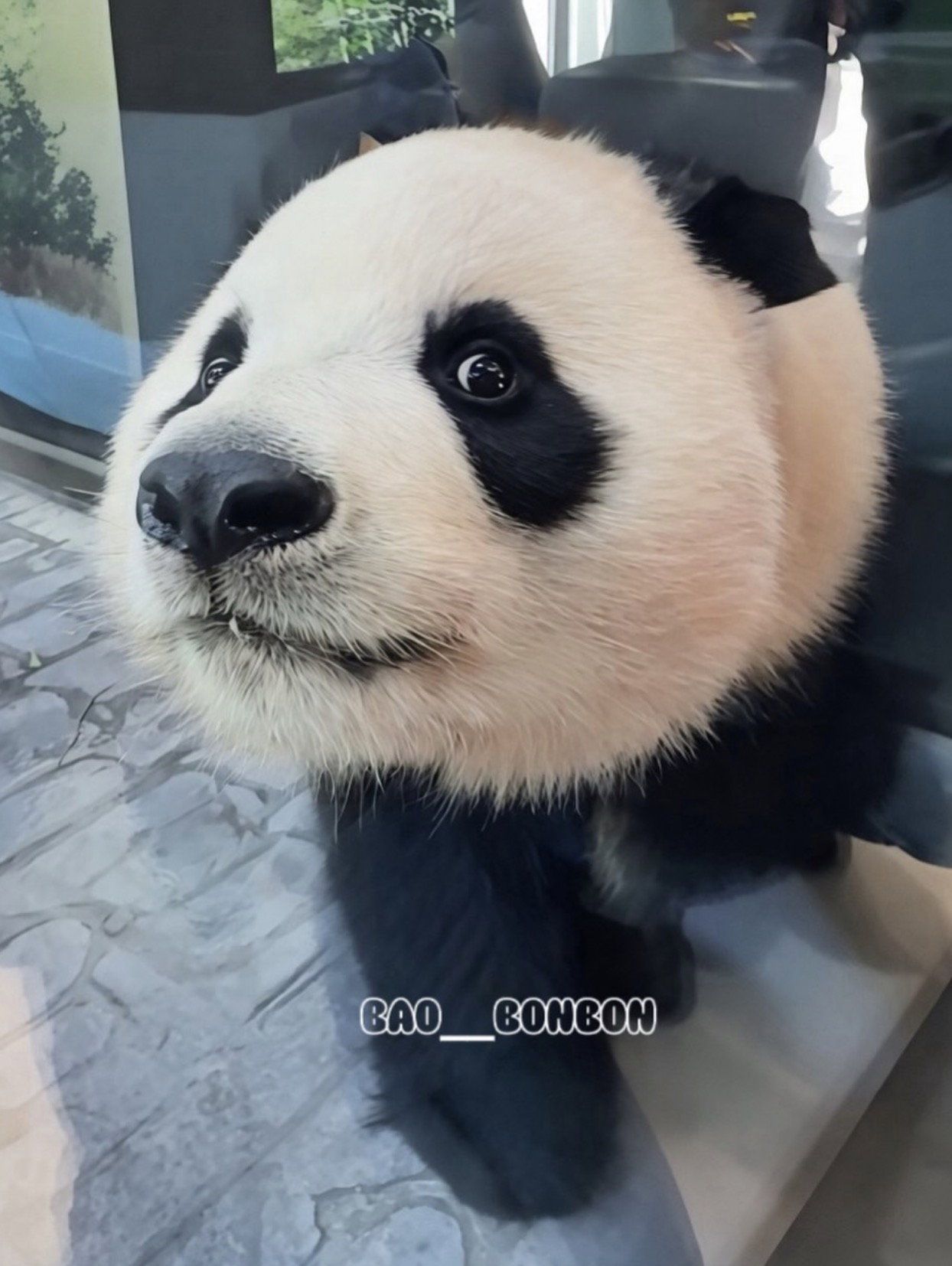 efQBwf