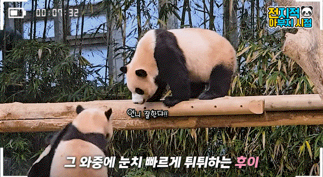 egaySm.gif