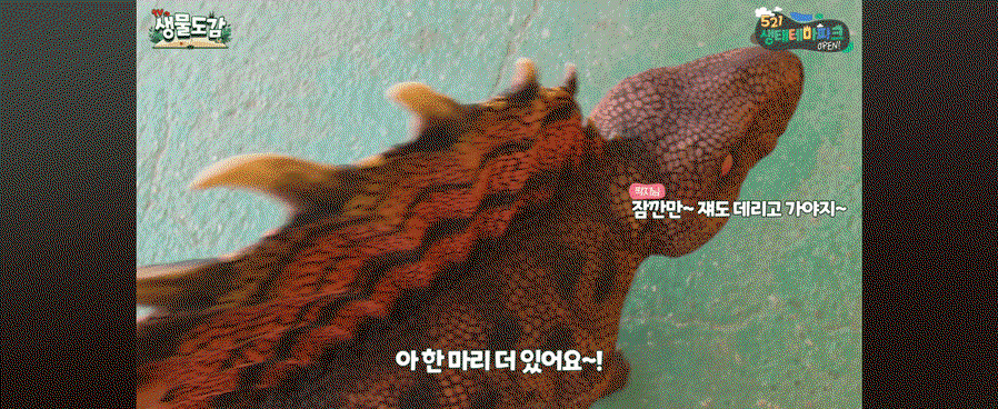 egkNVc.gif