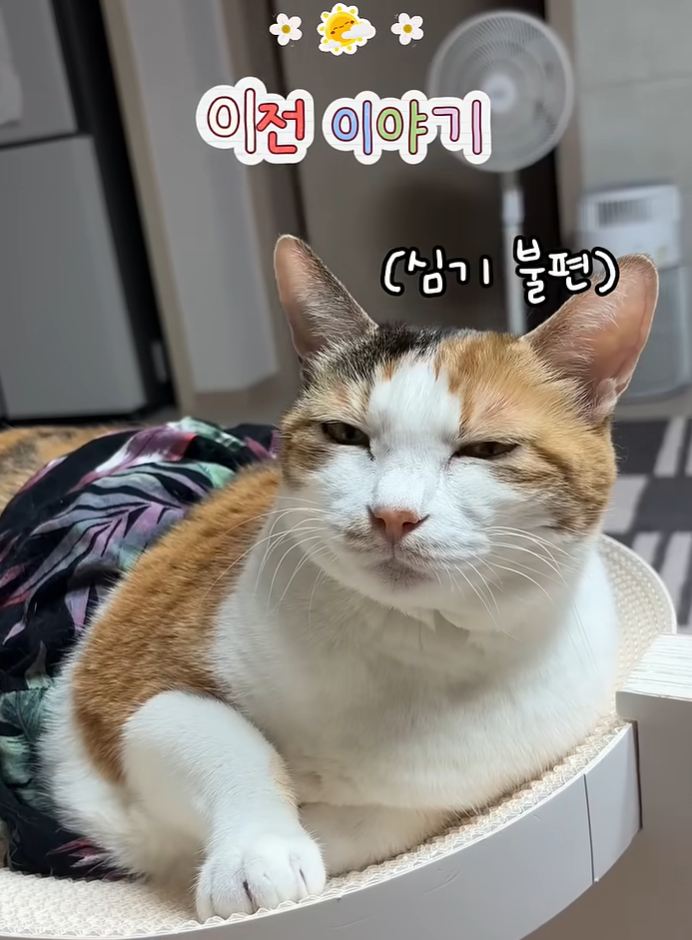 ehNyFN