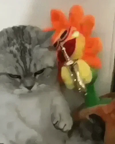 ehYXwt