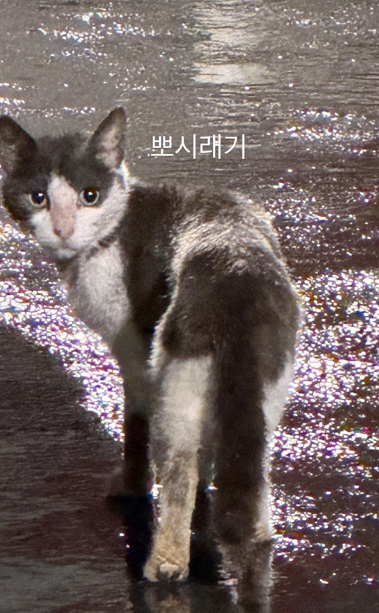 ehnsQu
