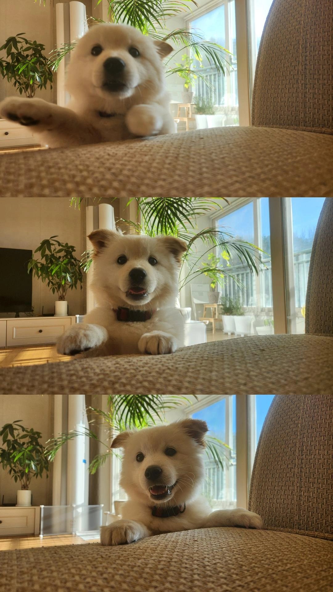 eiZYVF