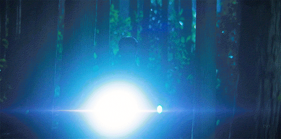 ekxxzn.gif