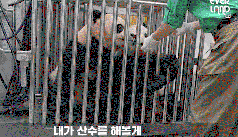 ekyCyy.gif