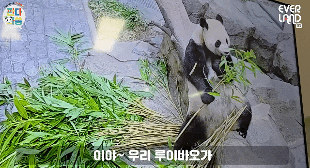 emtjSi.gif