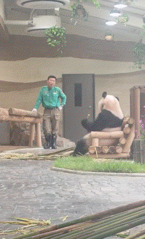 envdaM.gif