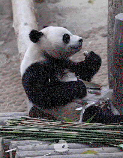 eoLUjq.gif