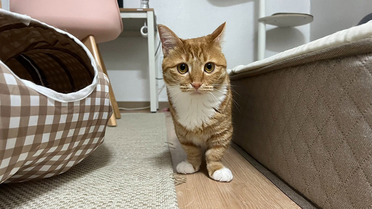 eowcIw