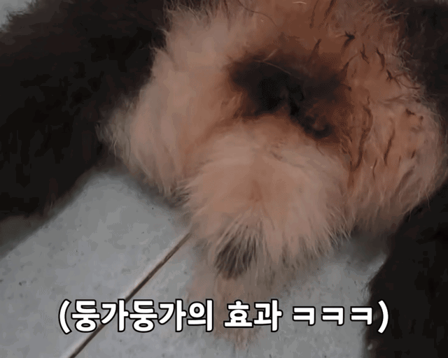 etizeA.gif