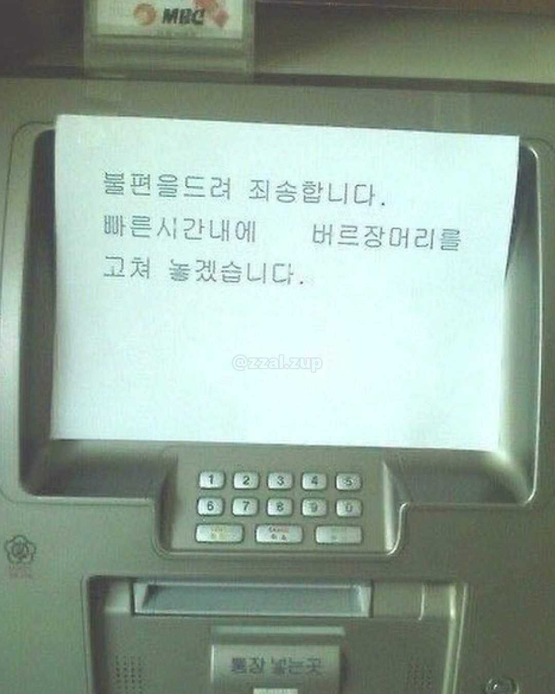 euoXCD