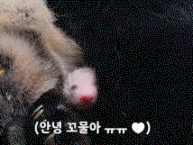 fBbXdp.gif