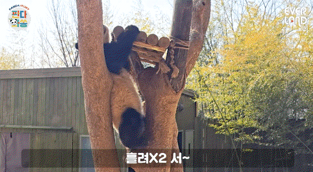 fCsHRe.gif