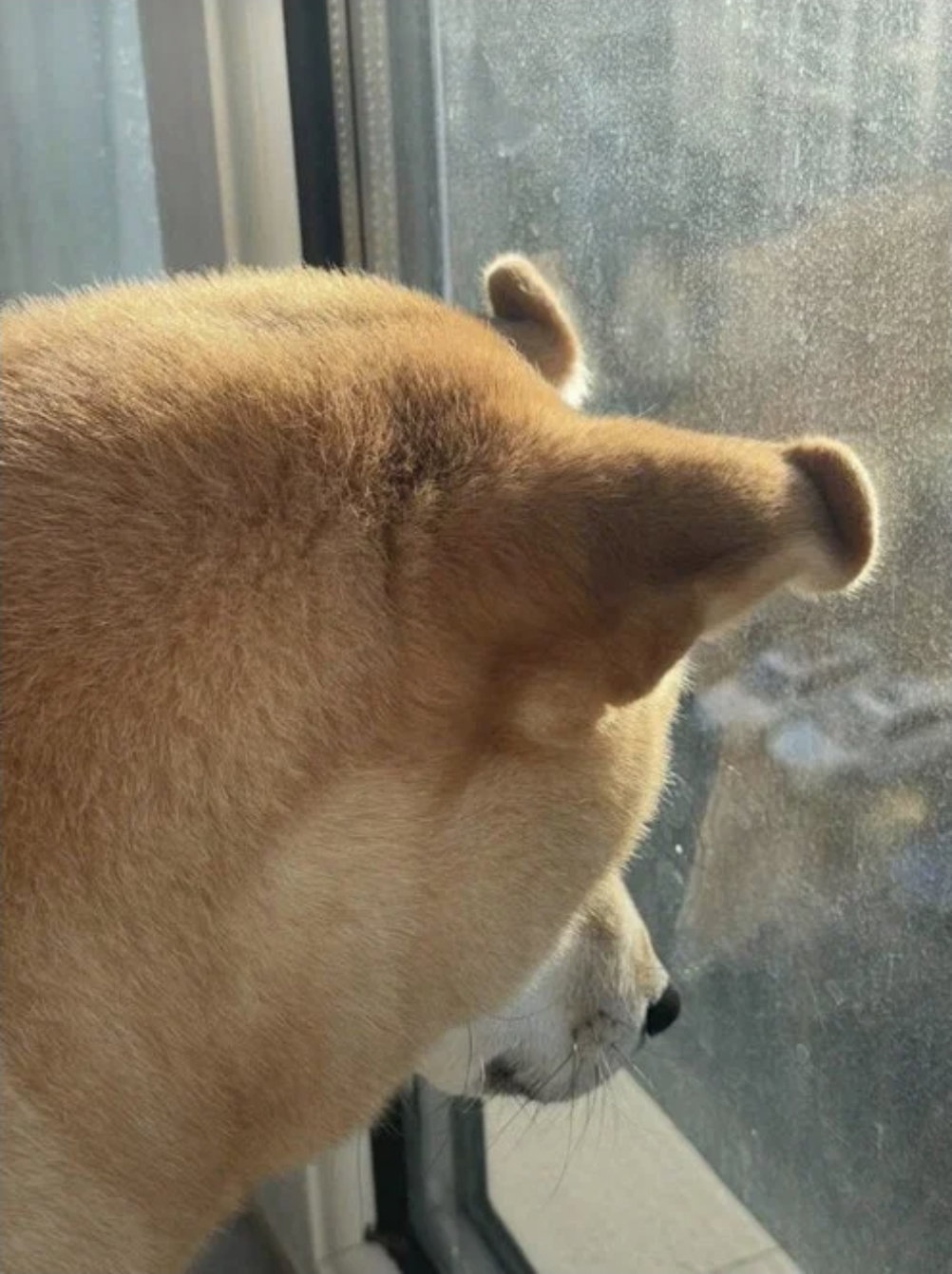 fDNfQr
