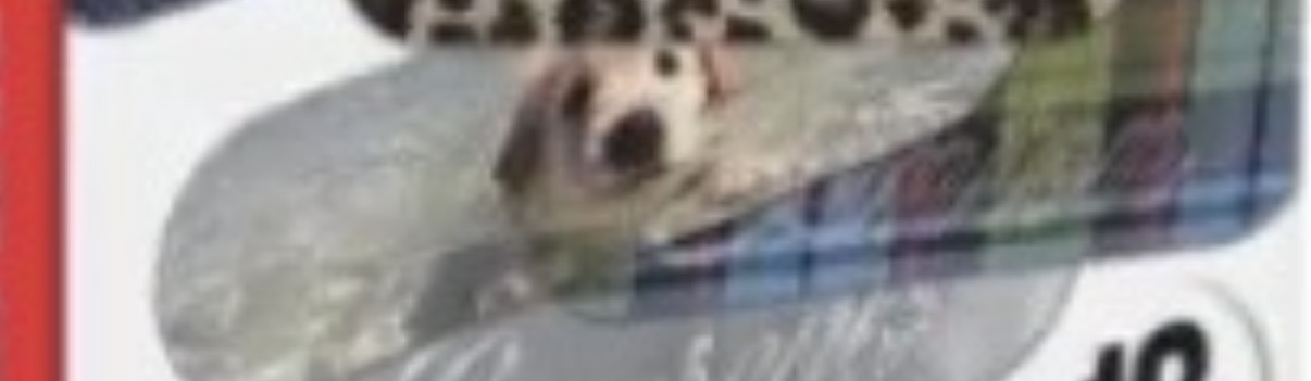 fGXDTP