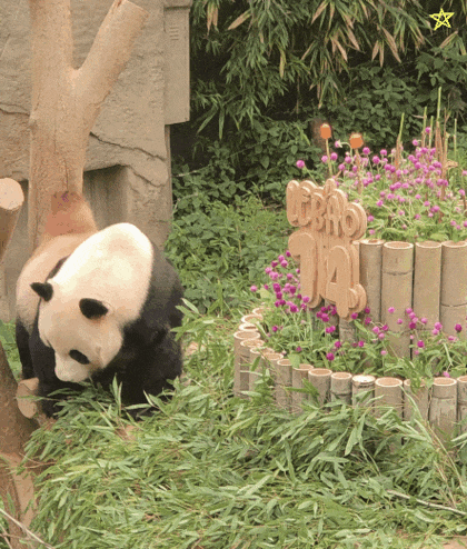 fKvIDq.gif